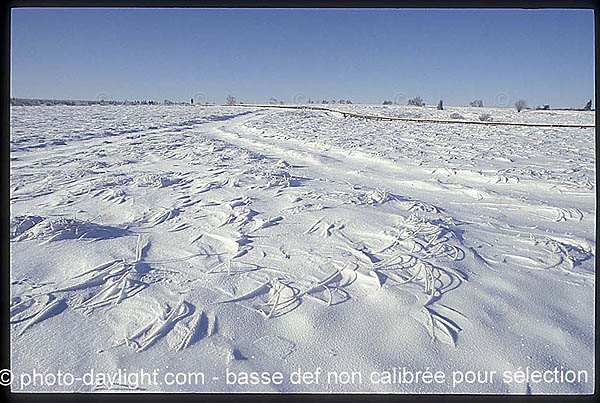 les Hautes Fagnes